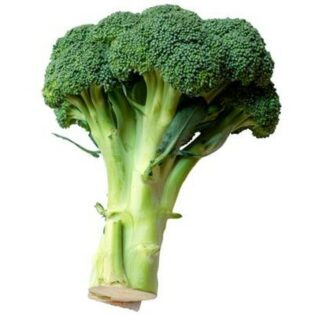Broccoli 4