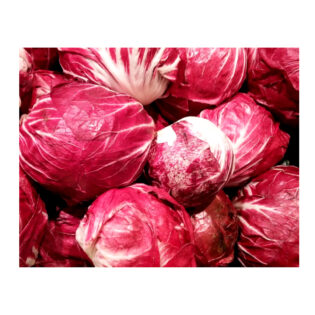 Radicchio